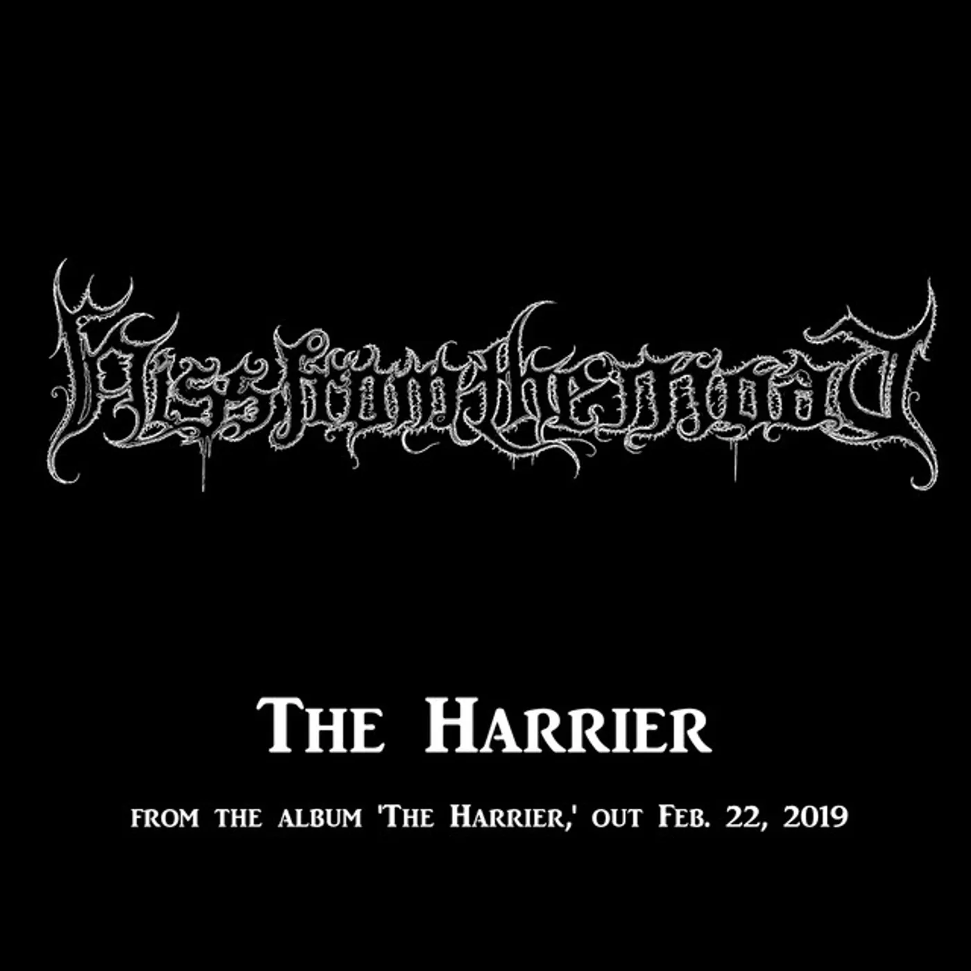 Hiss From The Moat HARRIER Vinyl Record