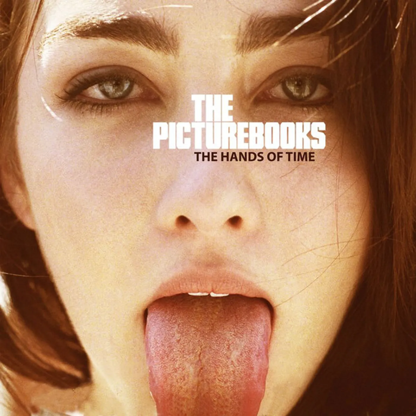 The Picturebooks HANDS OF TIME Vinyl Record