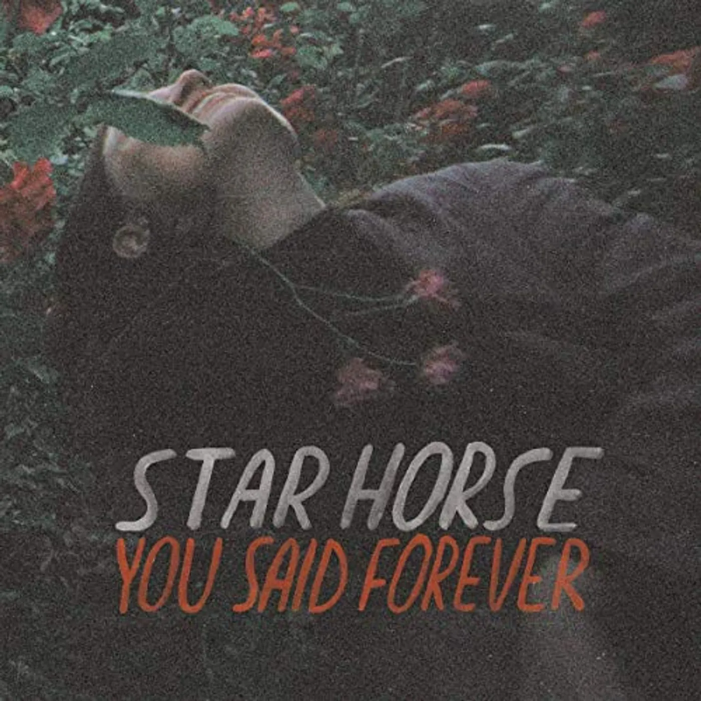 Star Horse You Said Forever Vinyl Record