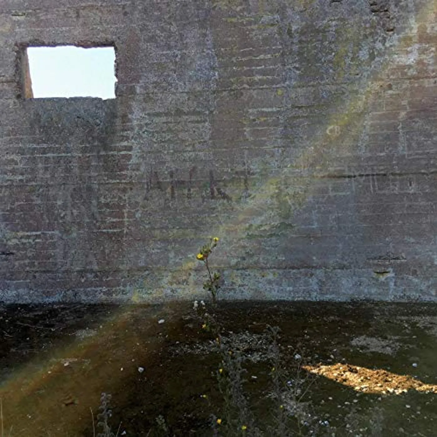 Desperate Journalist IN SEARCH OF THE MIRACULOUS CD