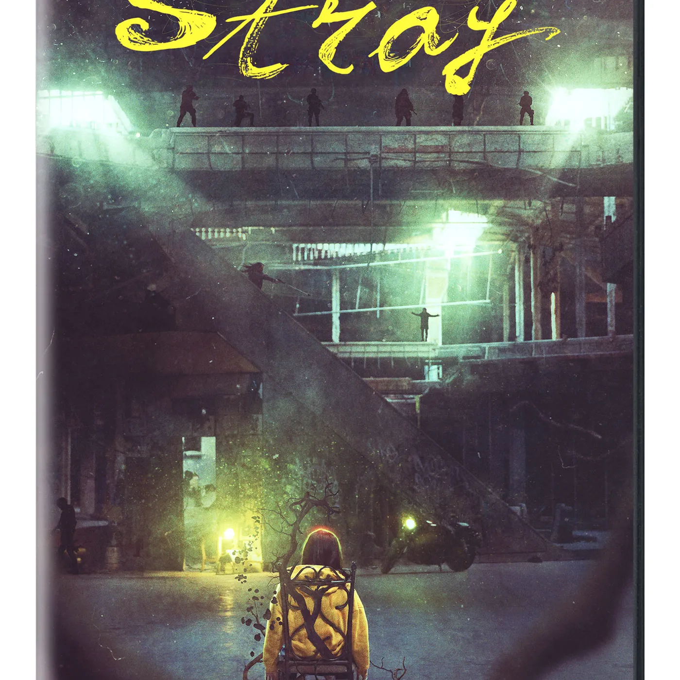STRAY DVD