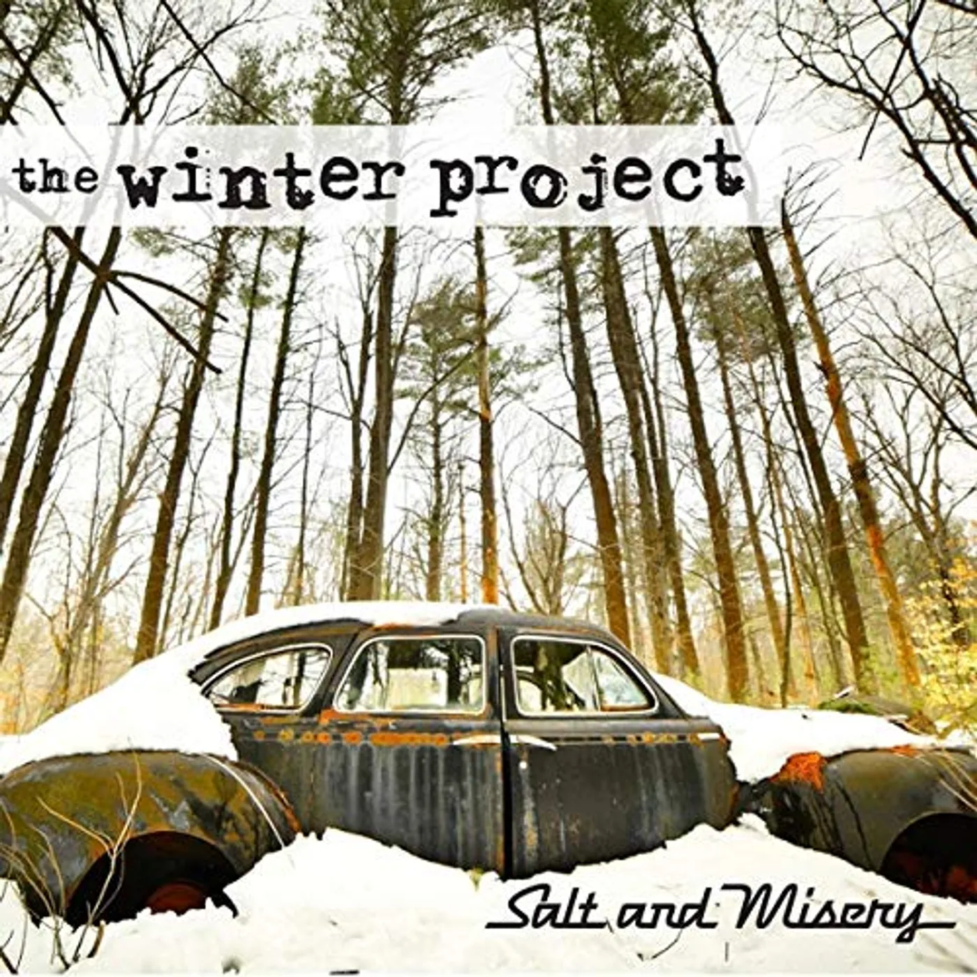 The Winter Project SALT & MISERY CD