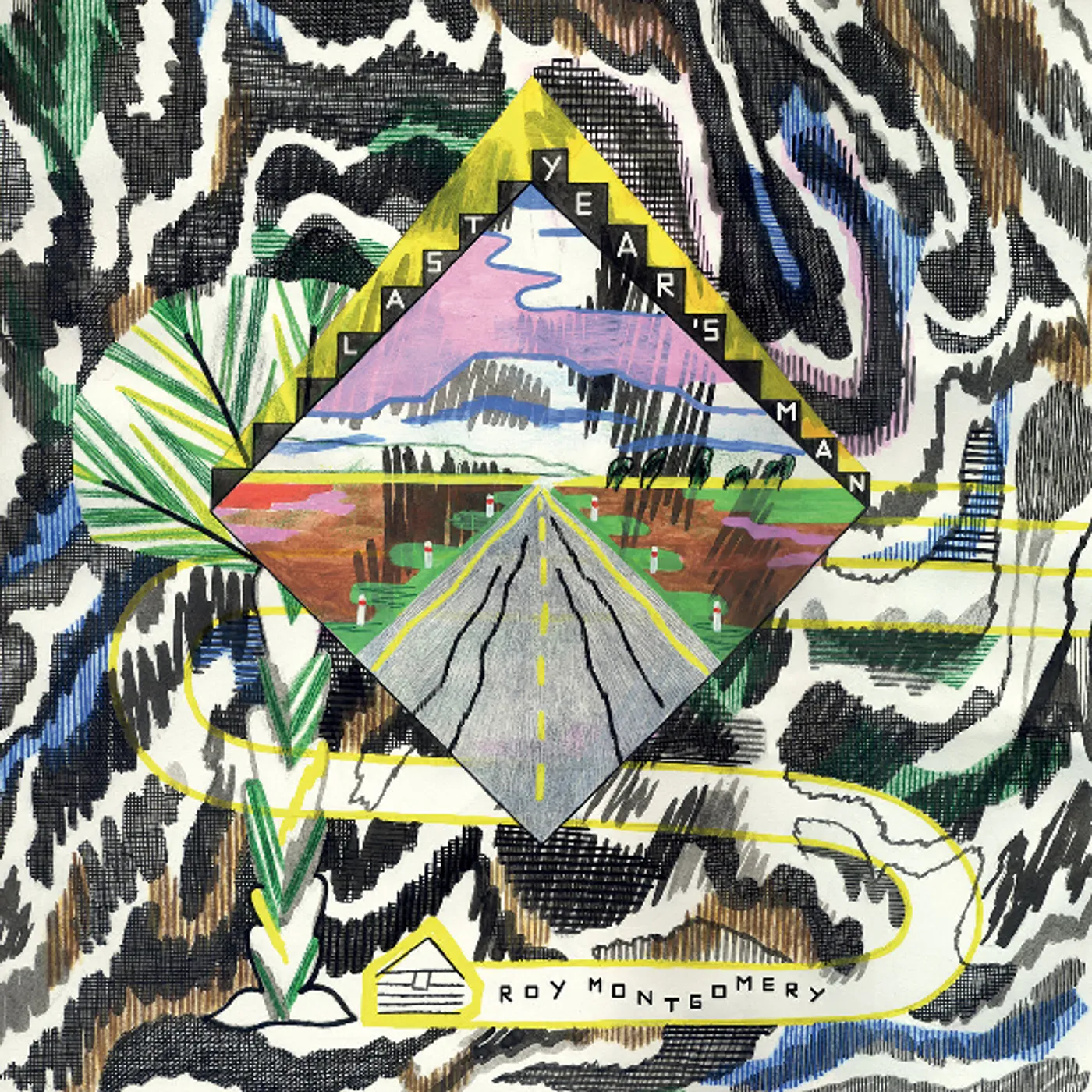 Roy Montgomery Last Year's Man/After Vermeer Vinyl Record