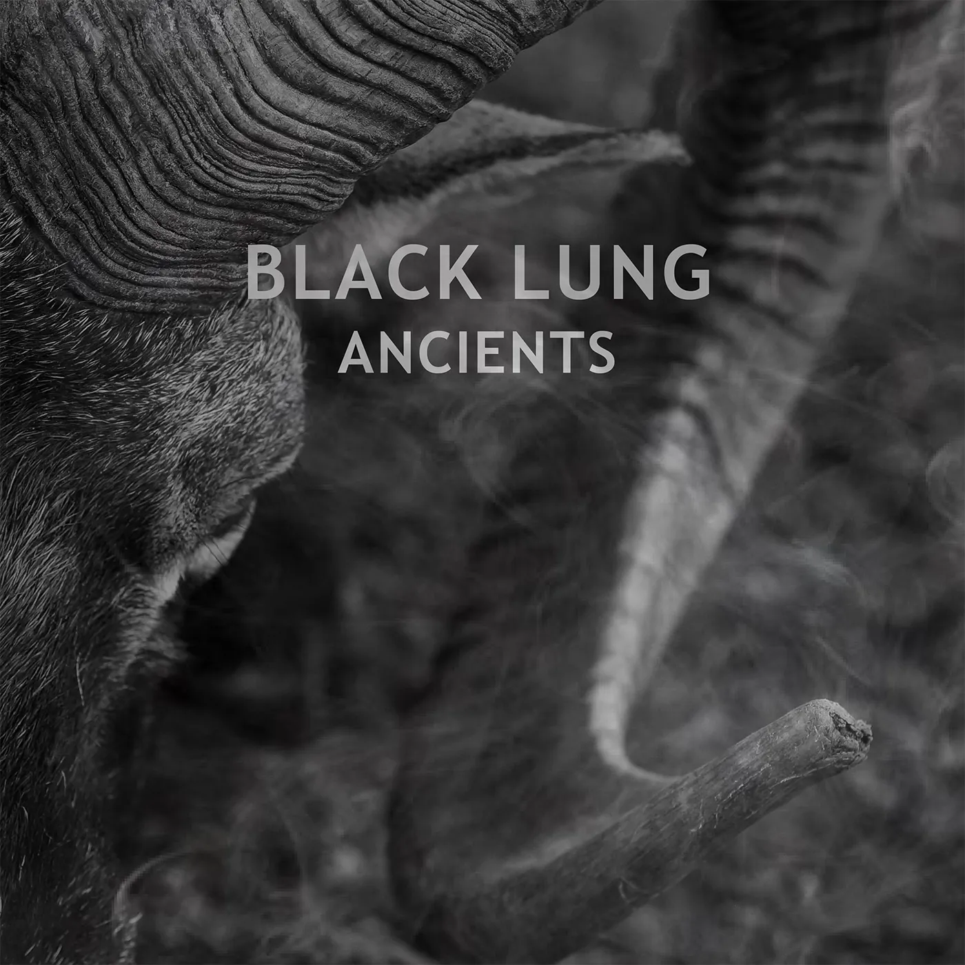 Black Lung ANCIENTS CD