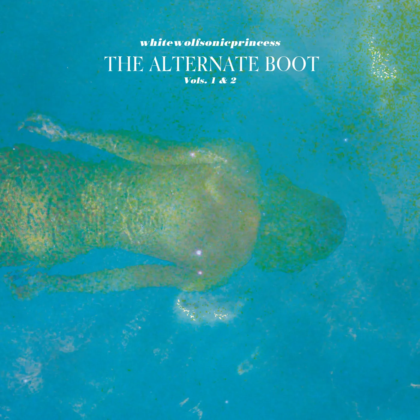 WhiteWolfSonicPrincess ALTERNATE BOOT: VOL. 1 & 2 CD