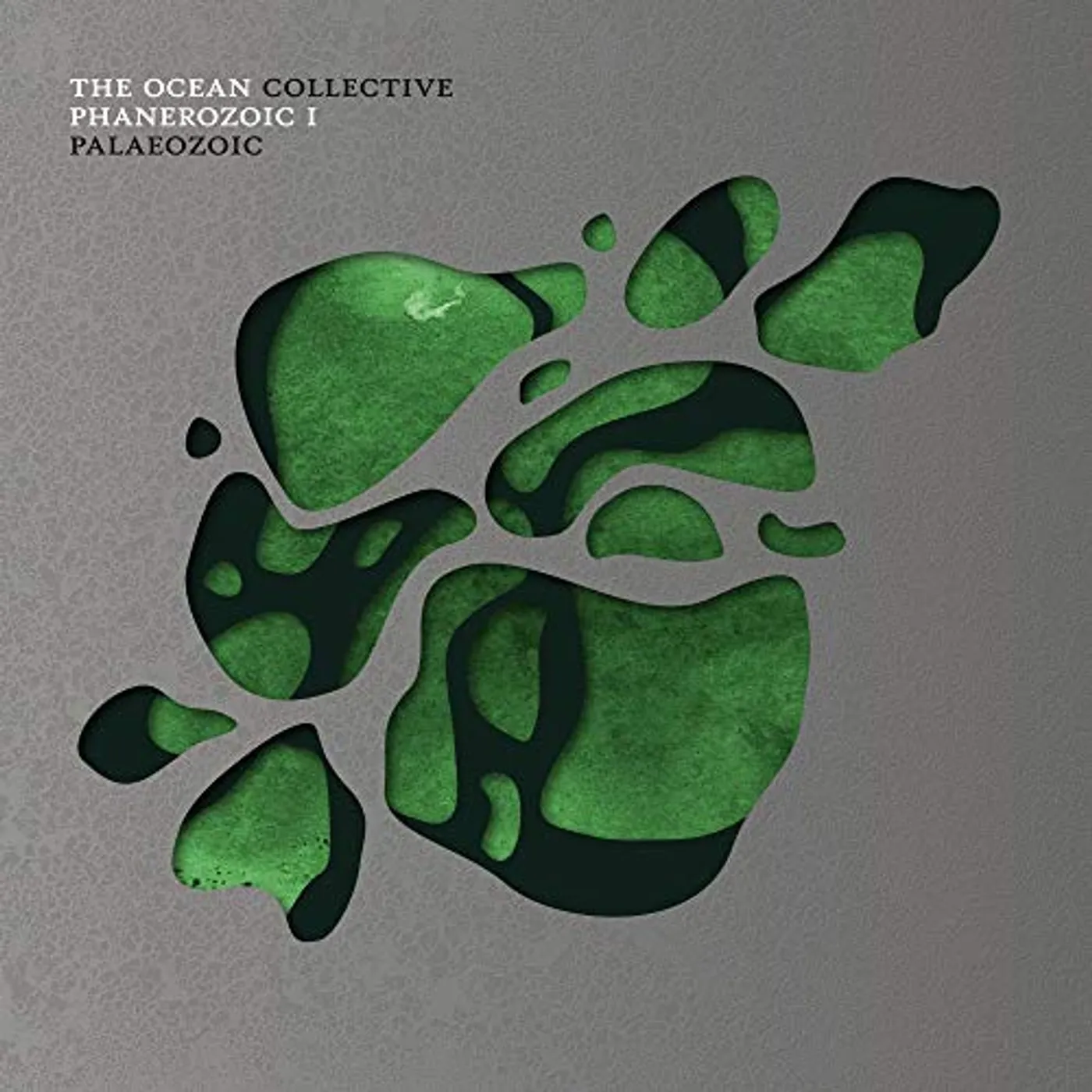 The Ocean Phanerozoic I: Palaeozoic Vinyl Record