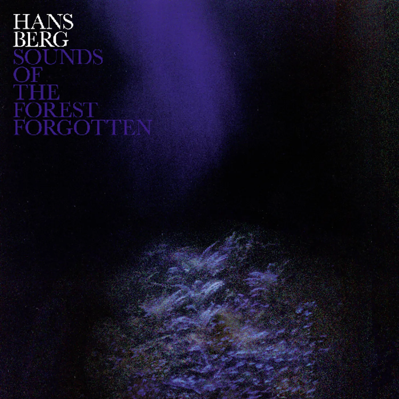 Hans Berg Sounds of the Forest Forgotten Vinyl Record