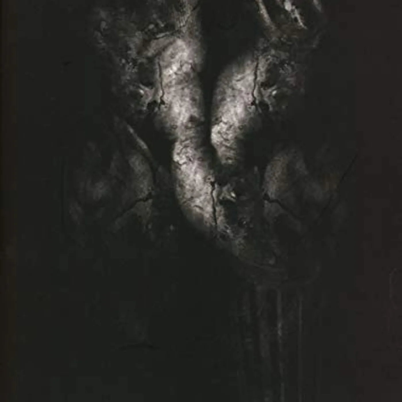 Treha Sektori SORIEH CD