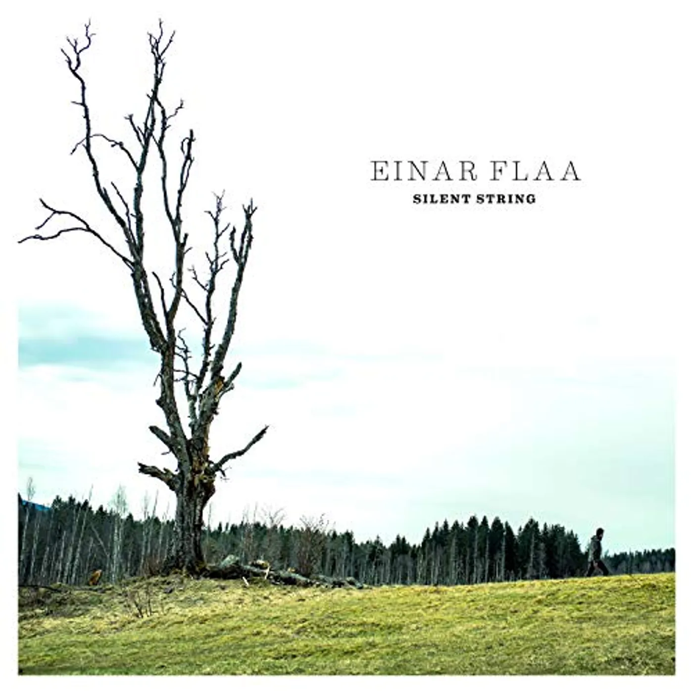 Einar Flaa SILENT STRING CD