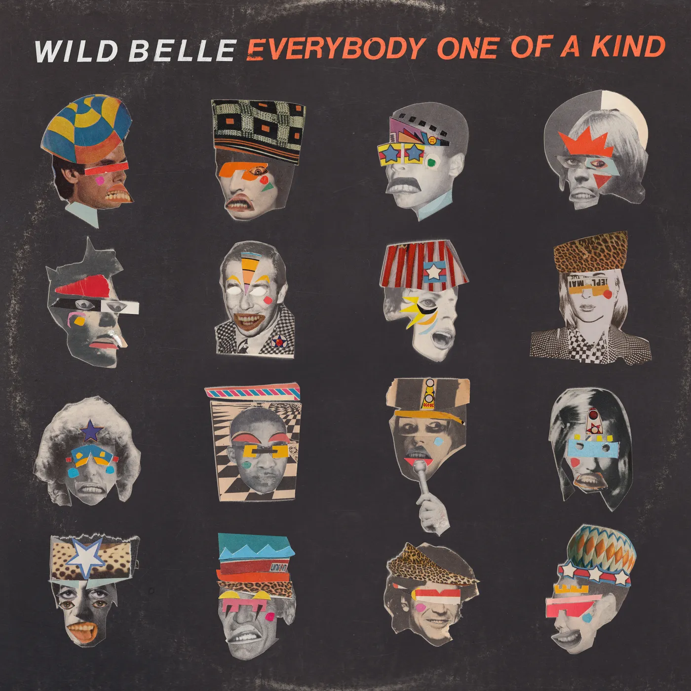 Wild Belle Everybody One of a Kind Vinyl Record