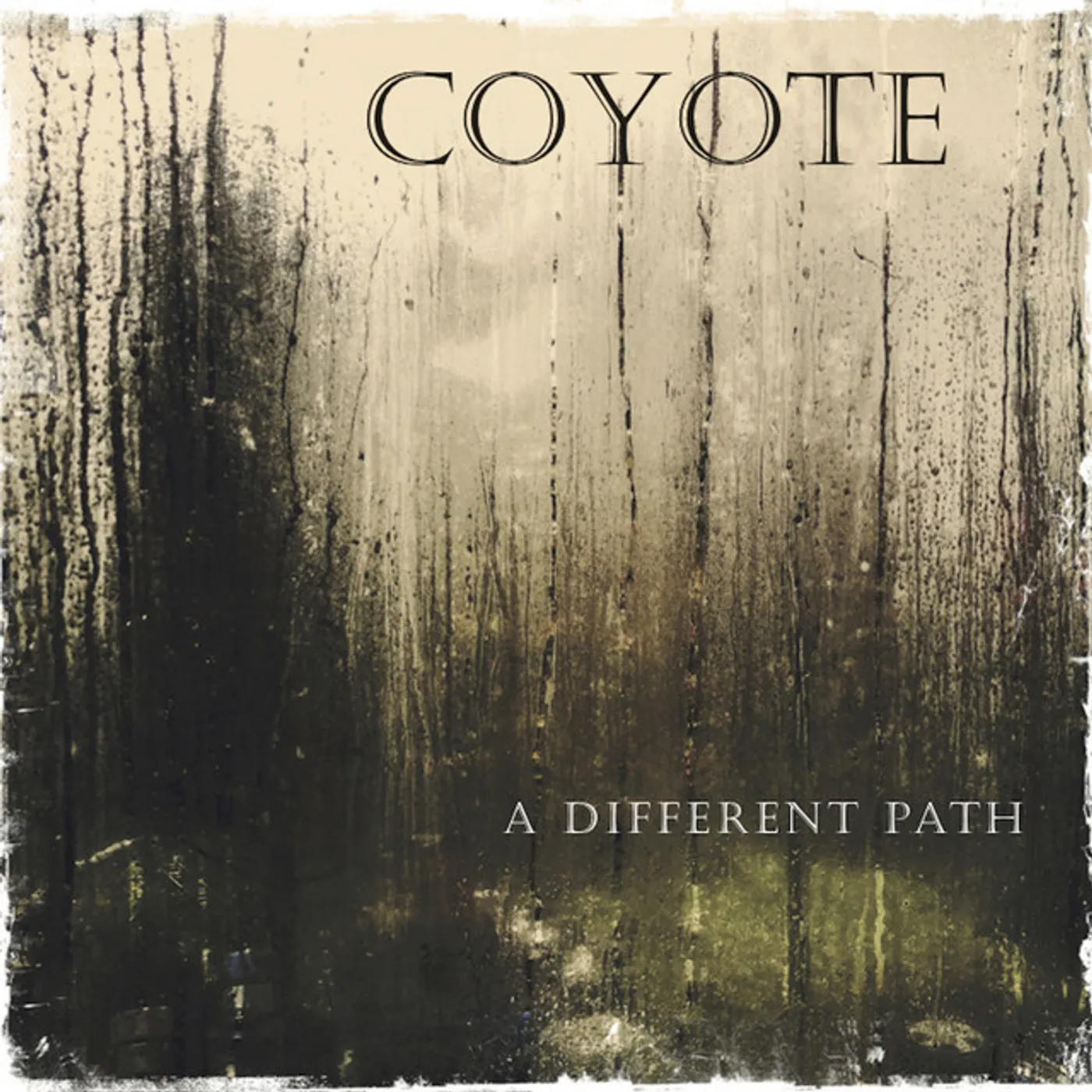 Coyote DIFFERENT PATH CD