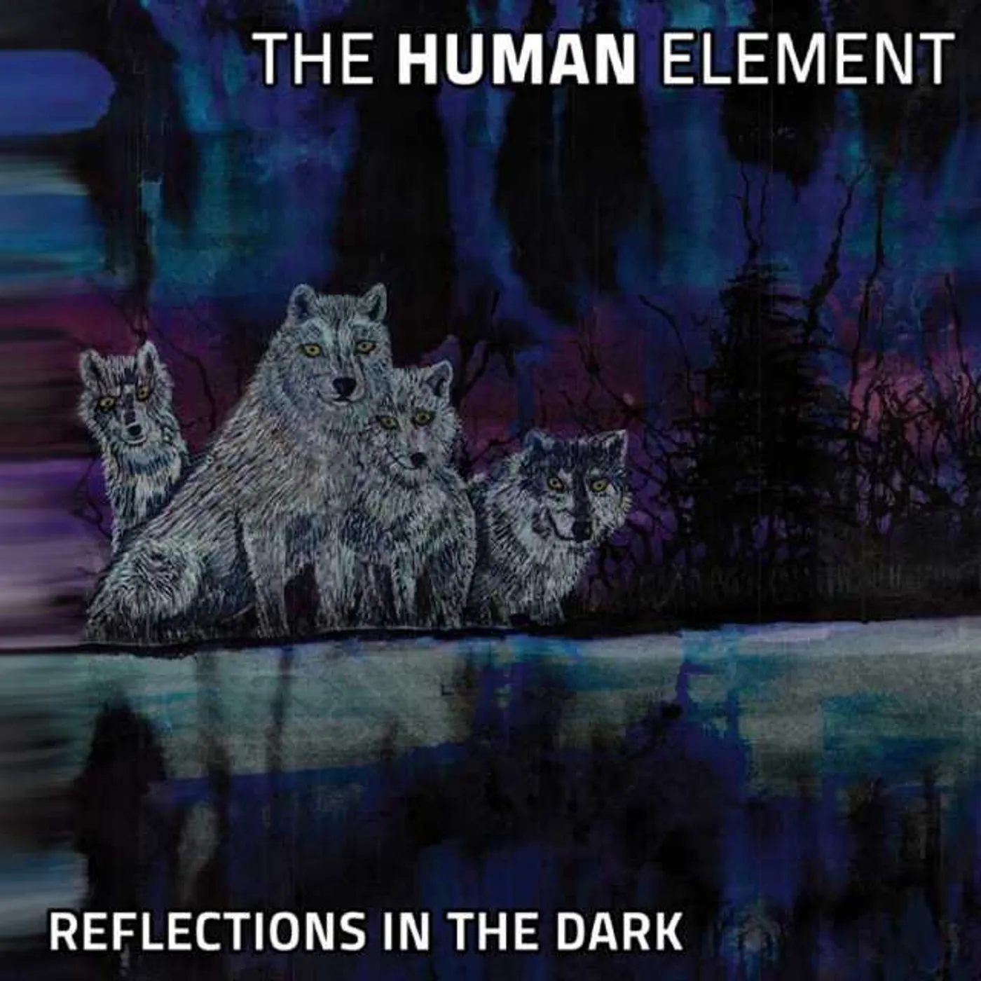 Human Element REFLECTIONS IN THE DARK CD