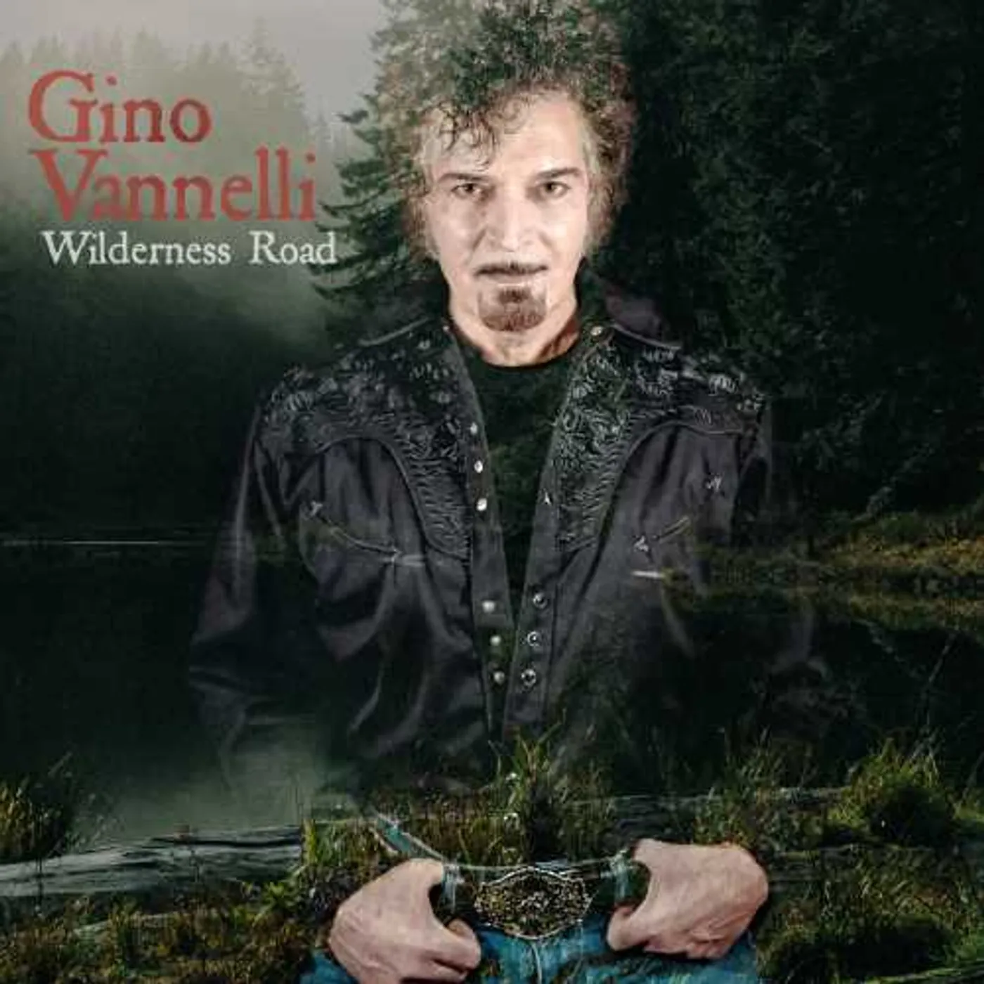 Gino Vannelli WILDERNESS ROAD CD