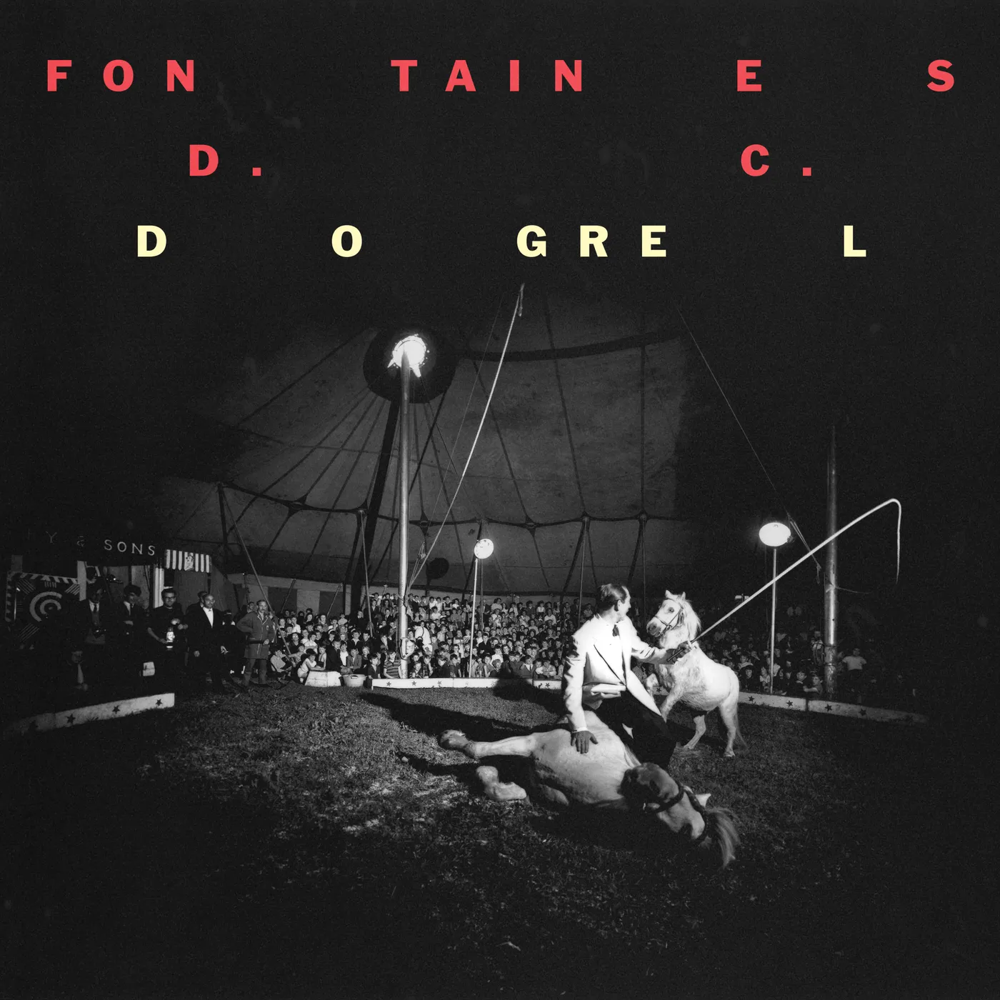 Fontaines D.C. DOGREL CD