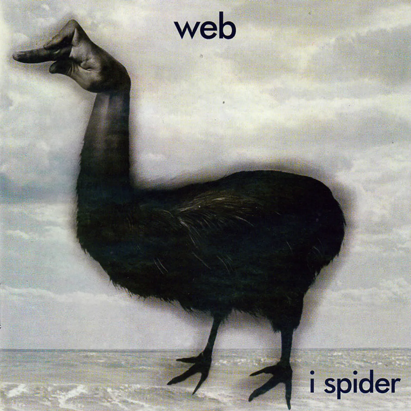 Web I Spider Vinyl Record
