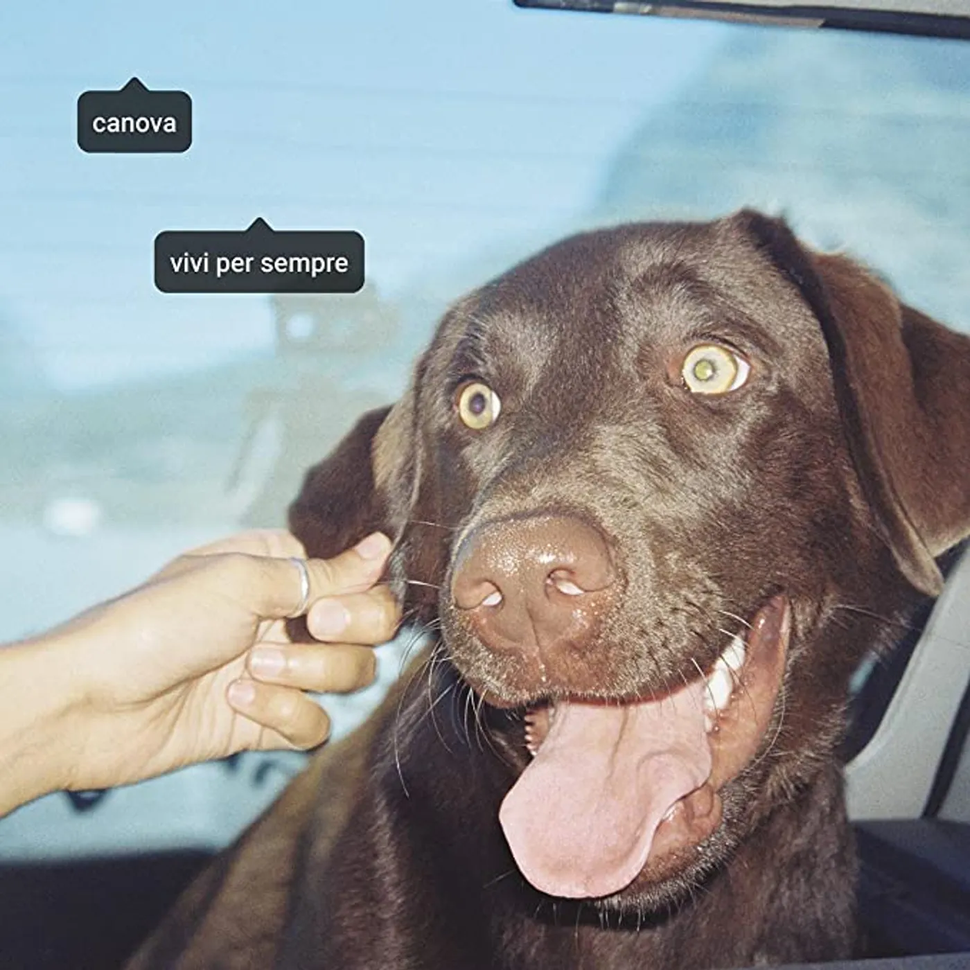 CanovA Vivi Per Sempre Vinyl Record