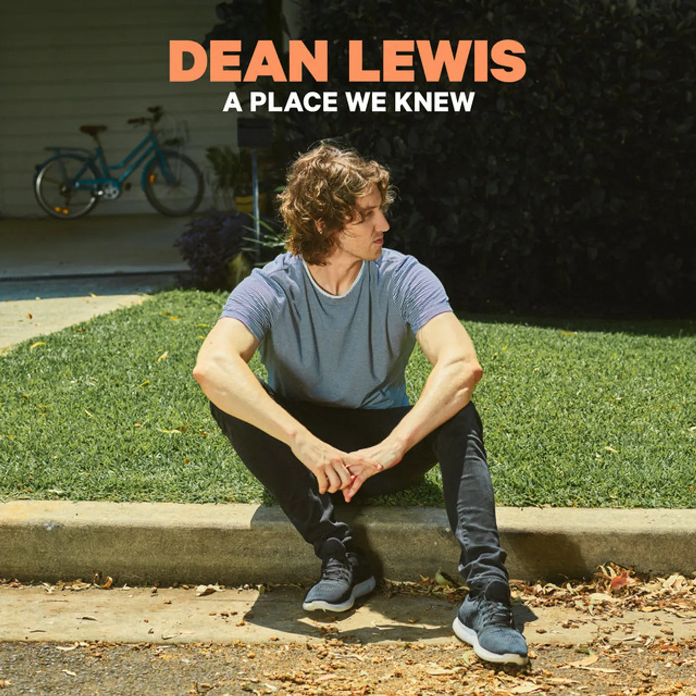 Dean Lewis PLACE WE KNEW CD