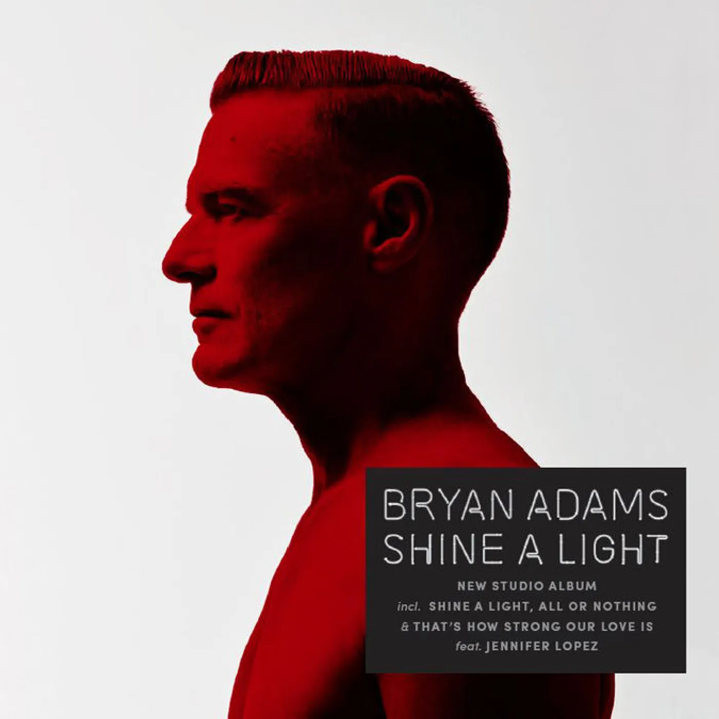 Bryan Adams Shine A Light Vinyl Record