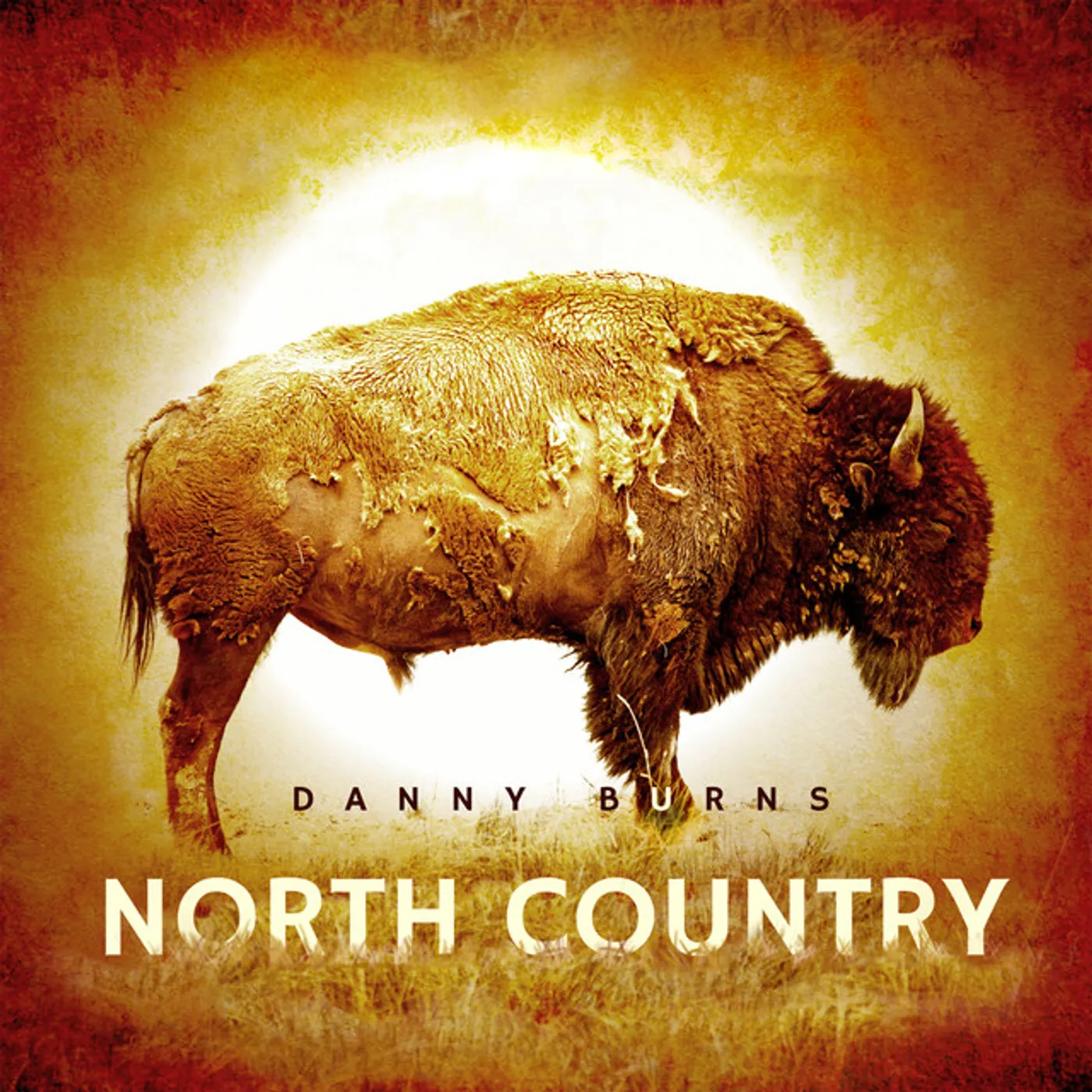 Danny Burns North Country Vinyl Record