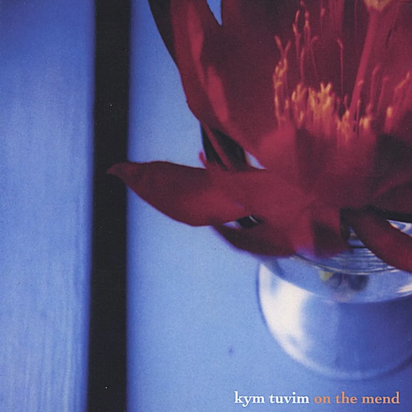 Kym Tuvim ON THE MEND CD