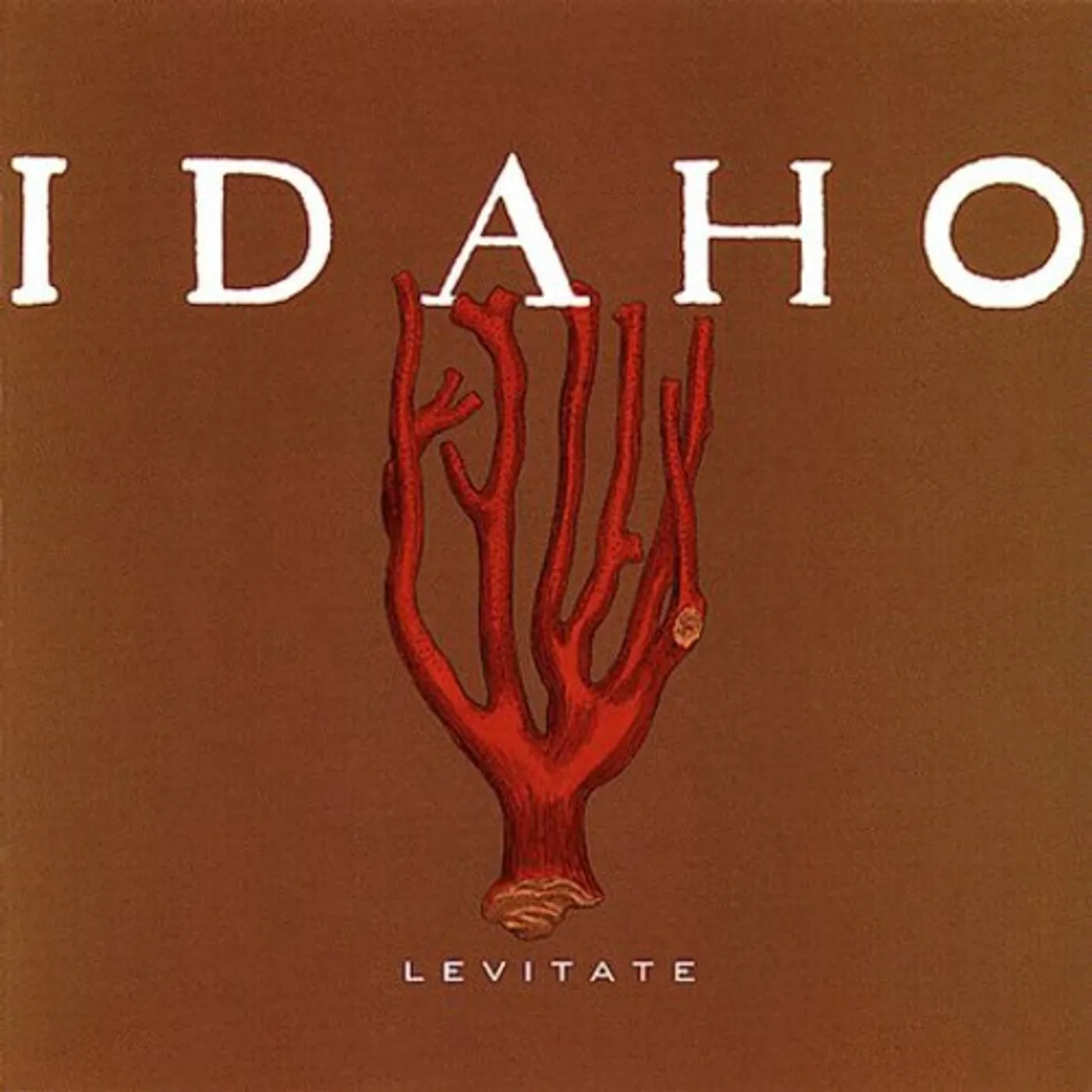 Idaho LEVITATE CD