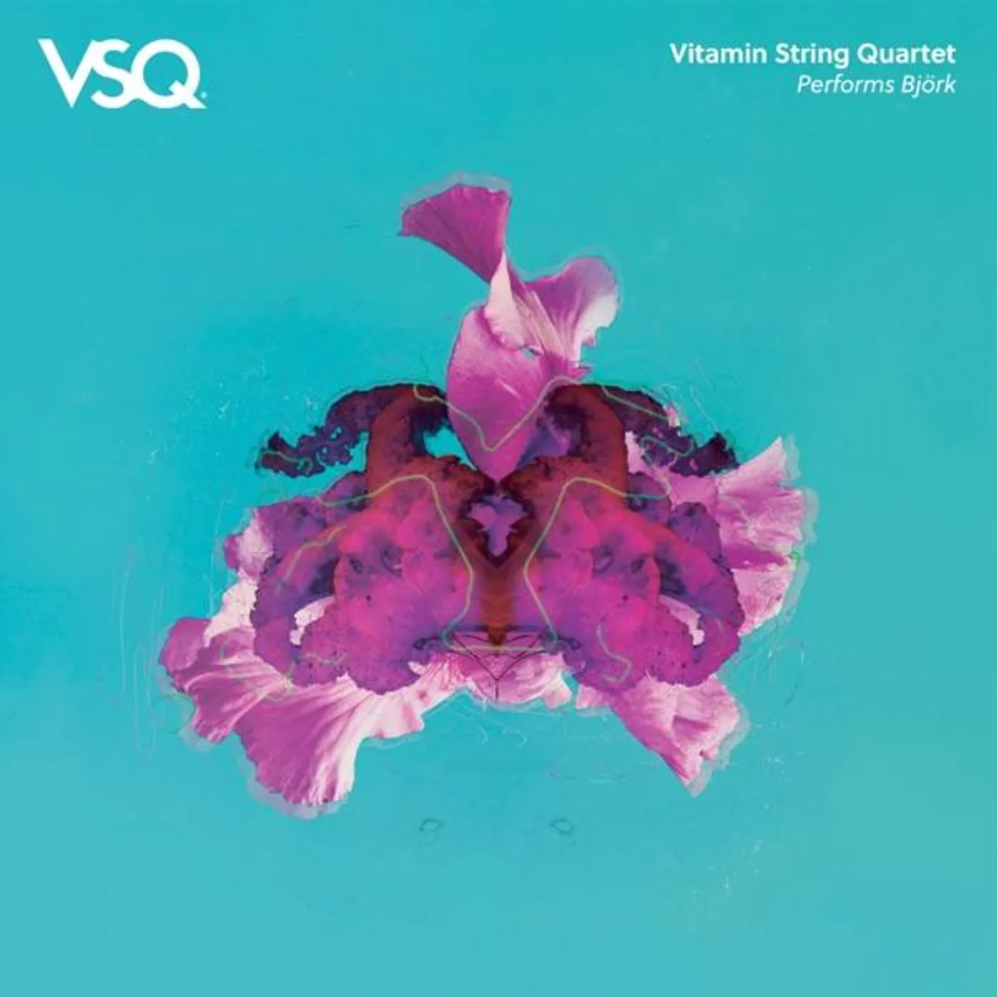Vitamin String Quartet VSQ PERFORMS BJORK Vinyl Record