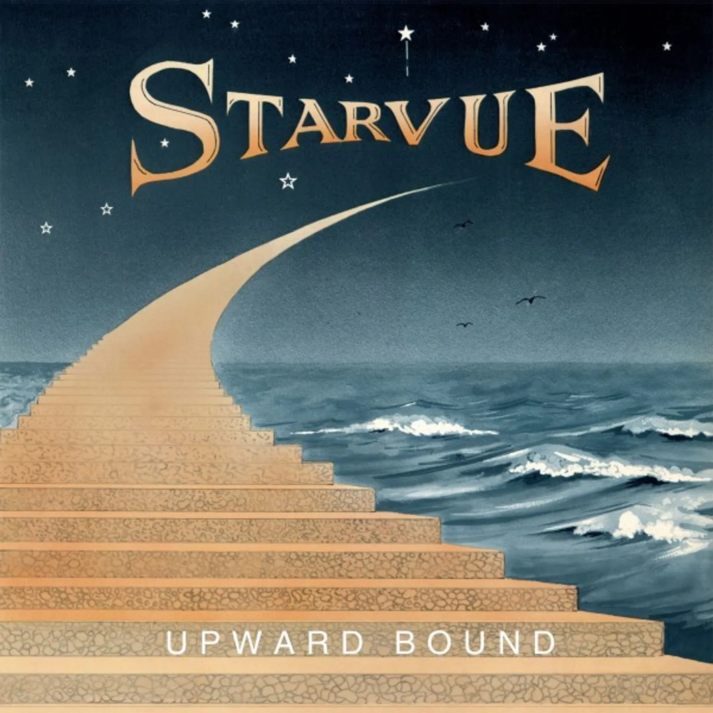 Starvue Upward Bound Vinyl Record