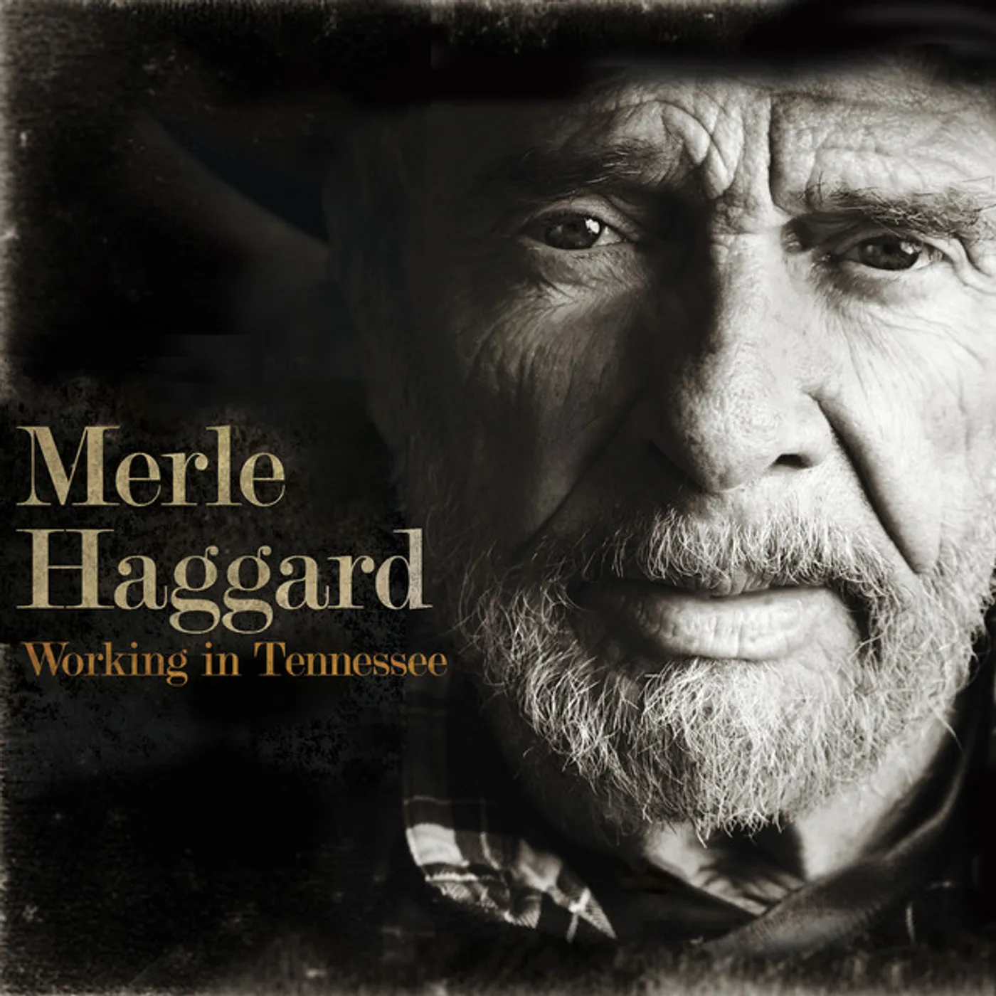 Merle Haggard Working In Tennessee Vinyl Record