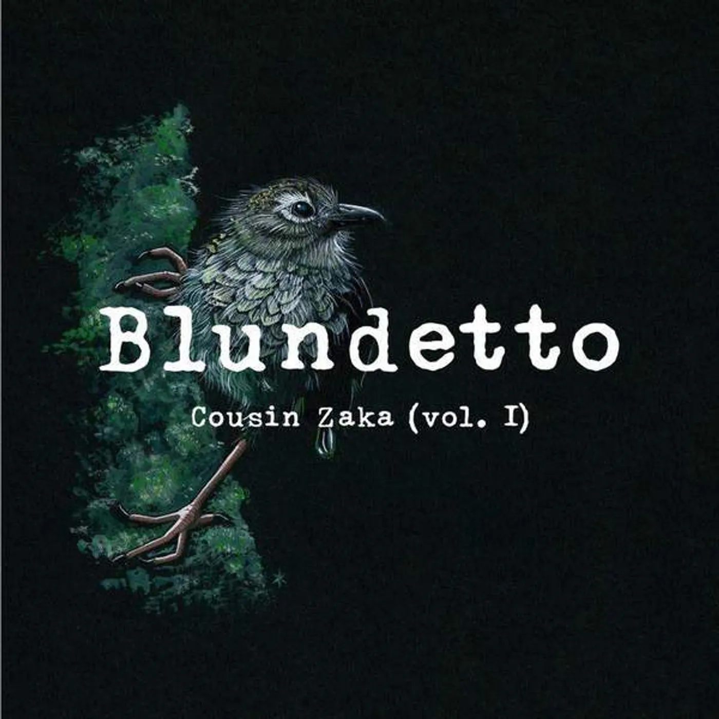 Blundetto COUSIN ZAKA Vinyl Record
