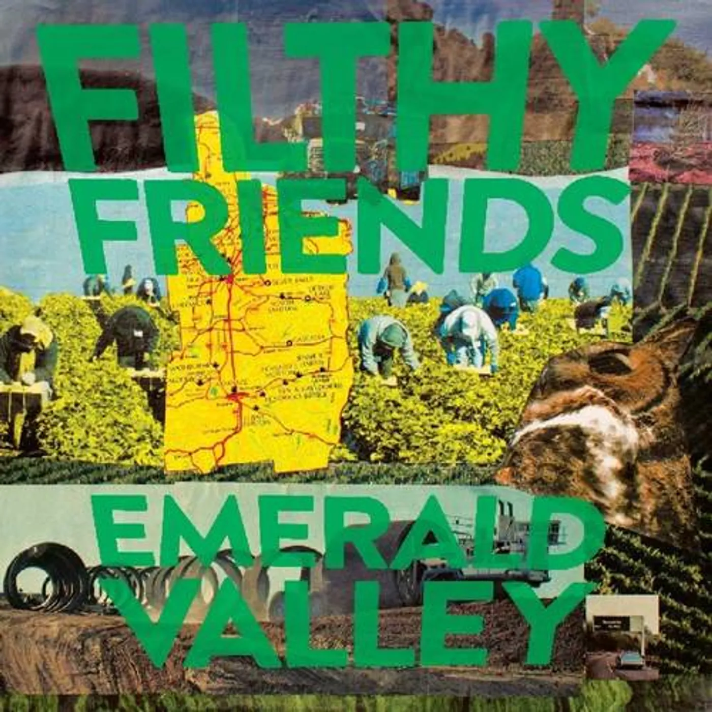 Filthy Friends Emerald Valley Vinyl Record