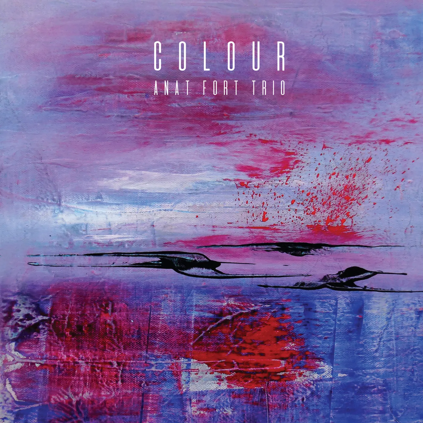 Anat Fort Trio COLOURS CD