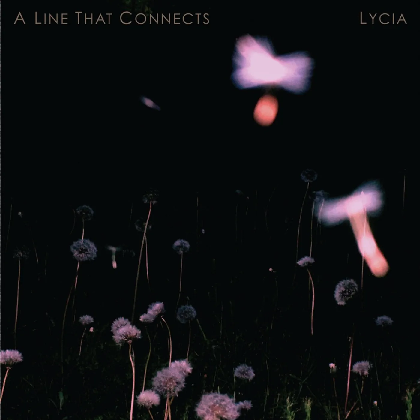 Lycia A LINE THAT CONNECTS CD