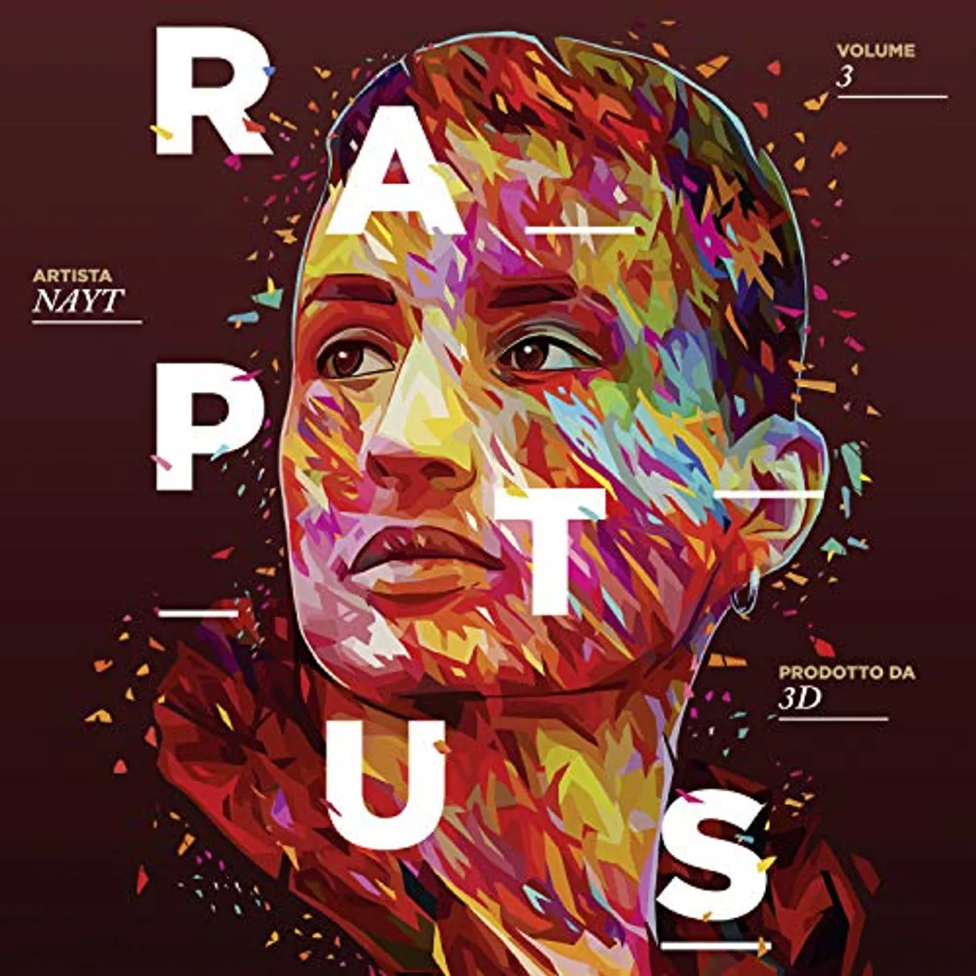 nayt Raptus 3 Vinyl Record