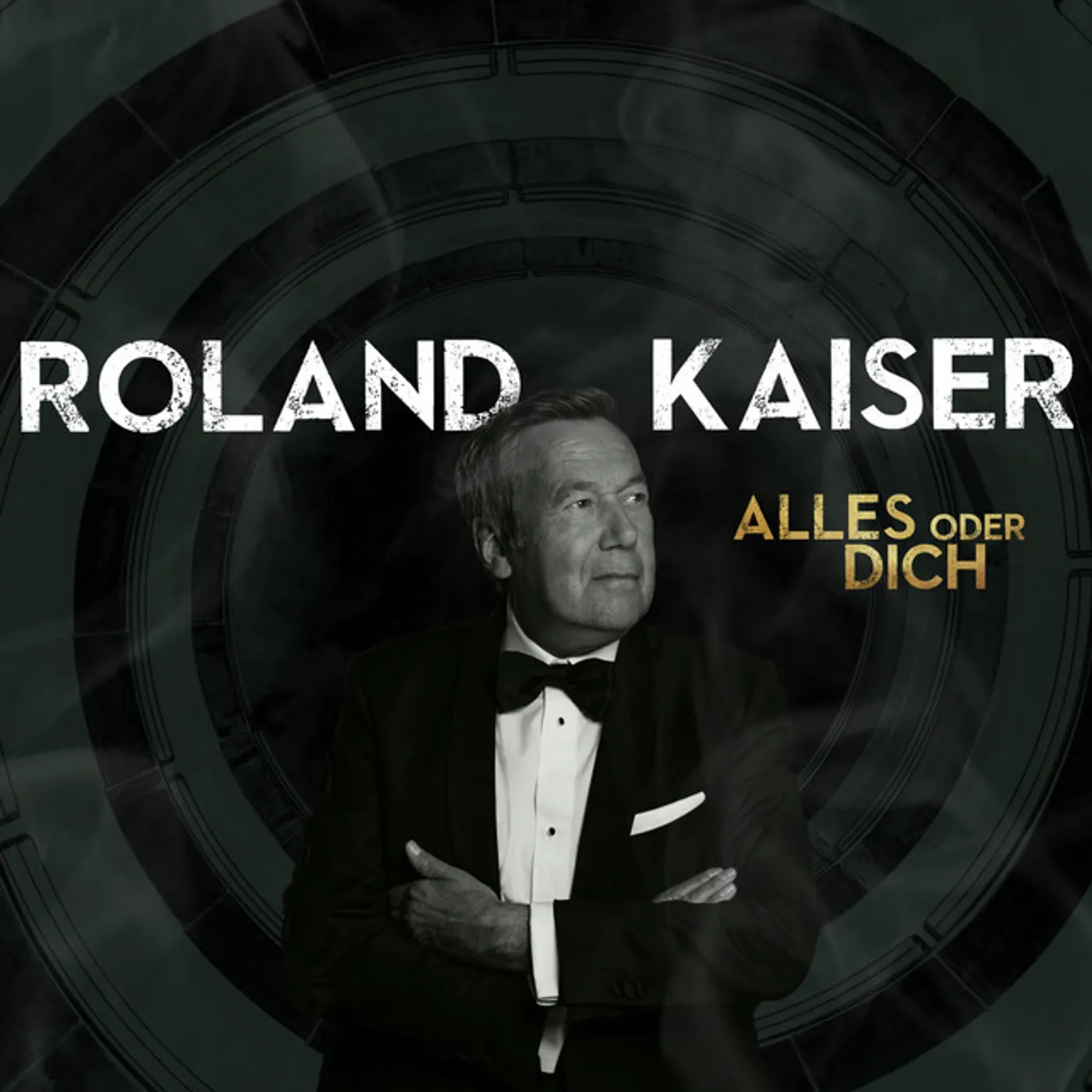 Roland Kaiser Alles oder Dich Vinyl Record
