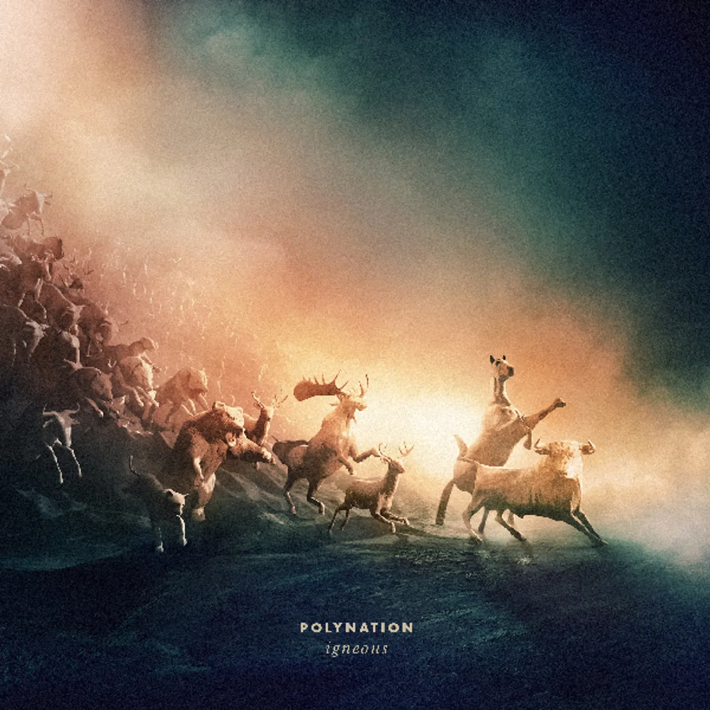 Polynation Igneous Vinyl Record