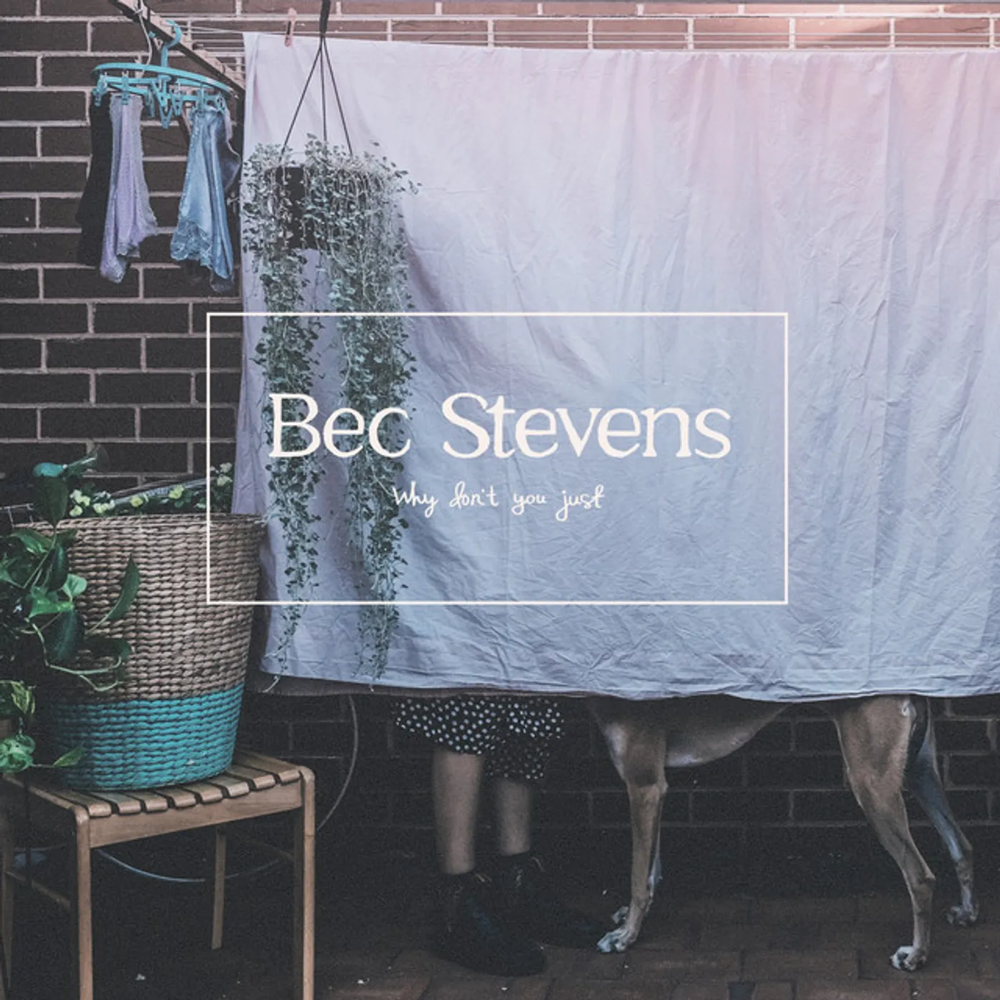 Bec Stevens Why Don't You Just Vinyl Record