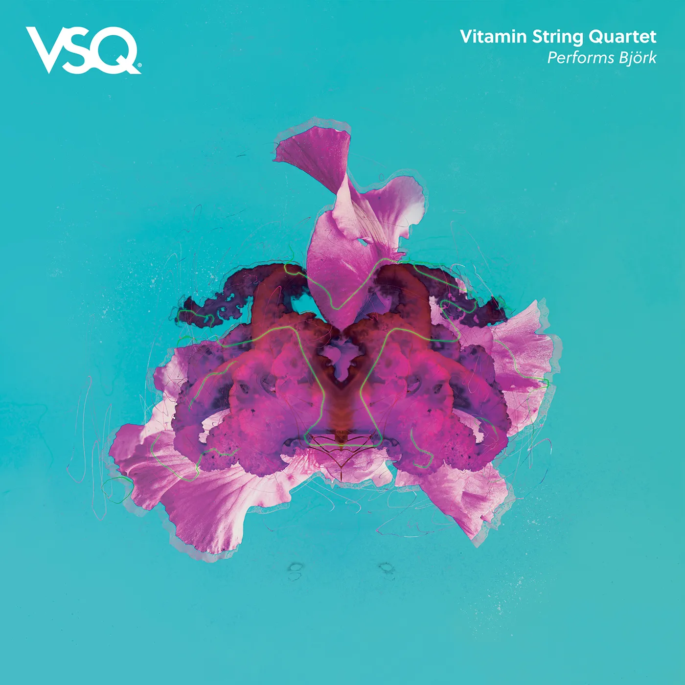 Vitamin String Quartet VSQ PERFORMS BJORK CD