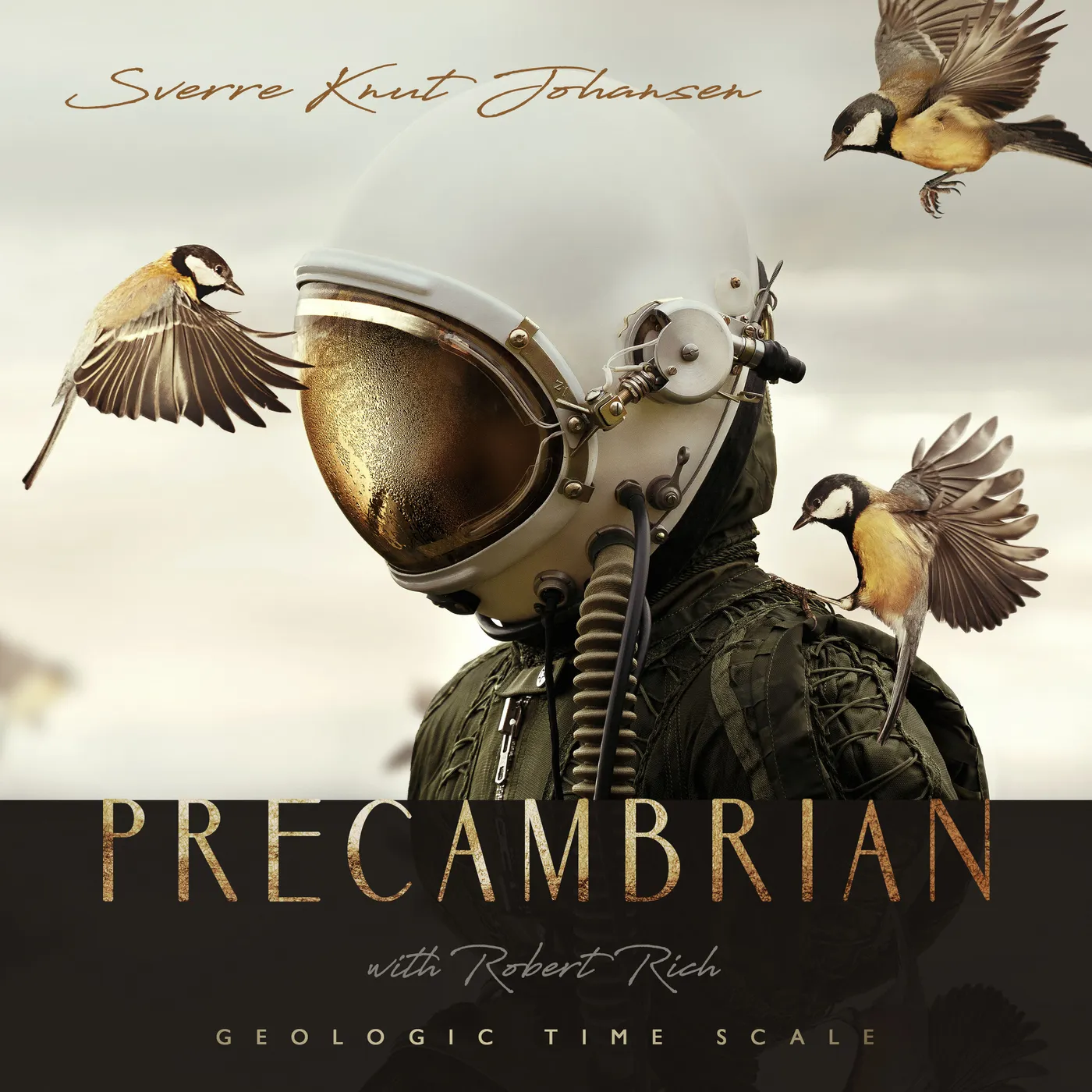 Sverre Knut Johansen PRECAMBRIAN CD