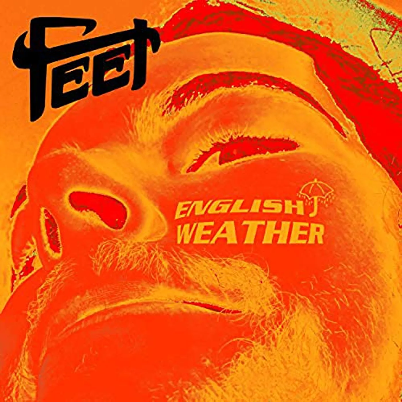FEET English Weather Vinyl Record