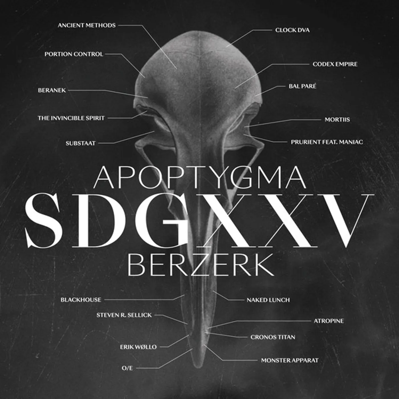 Apoptygma Berzerk SDGXXV Vinyl Record