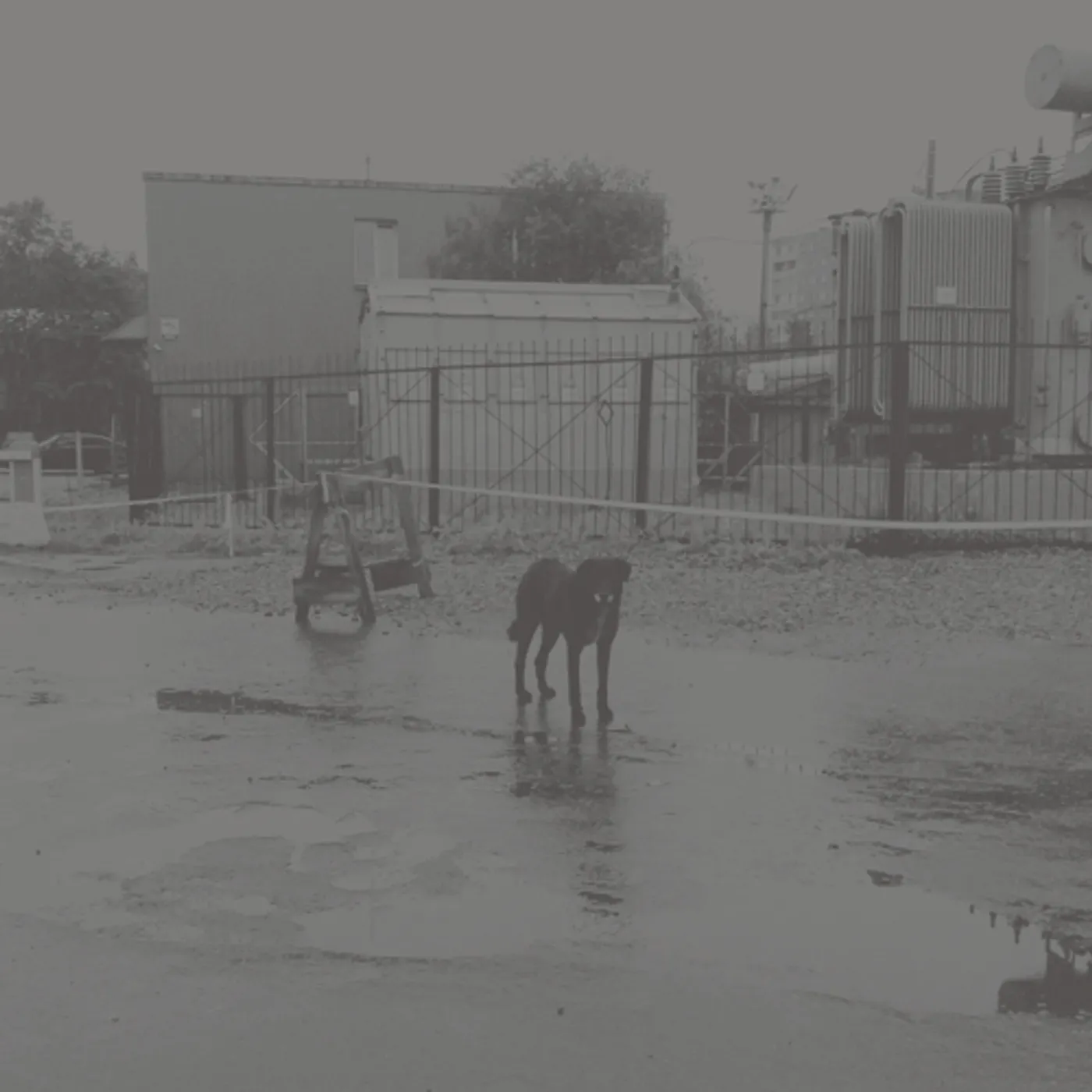 Nivhek AFTER ITS OWN DEATH / WALKING IN A SPIRAL TOWARDS Vinyl Record