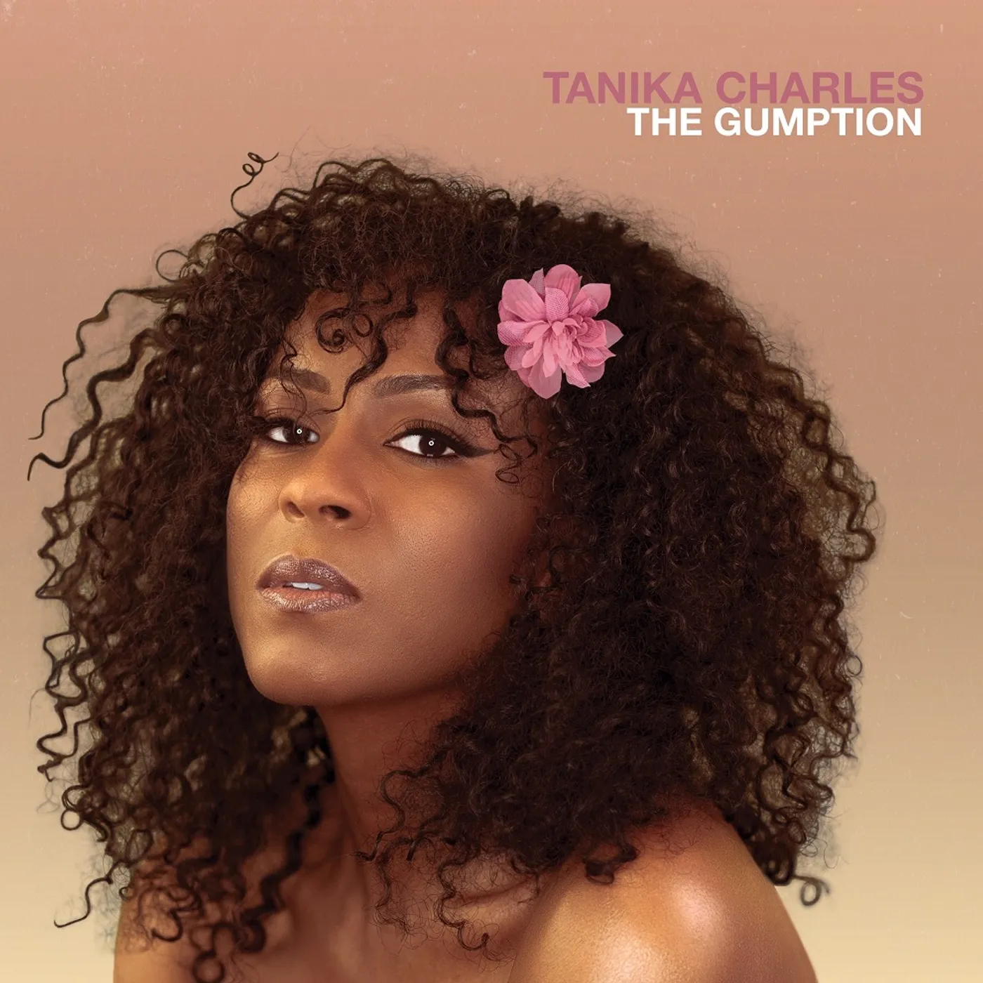 Tanika Charles GUMPTION Vinyl Record
