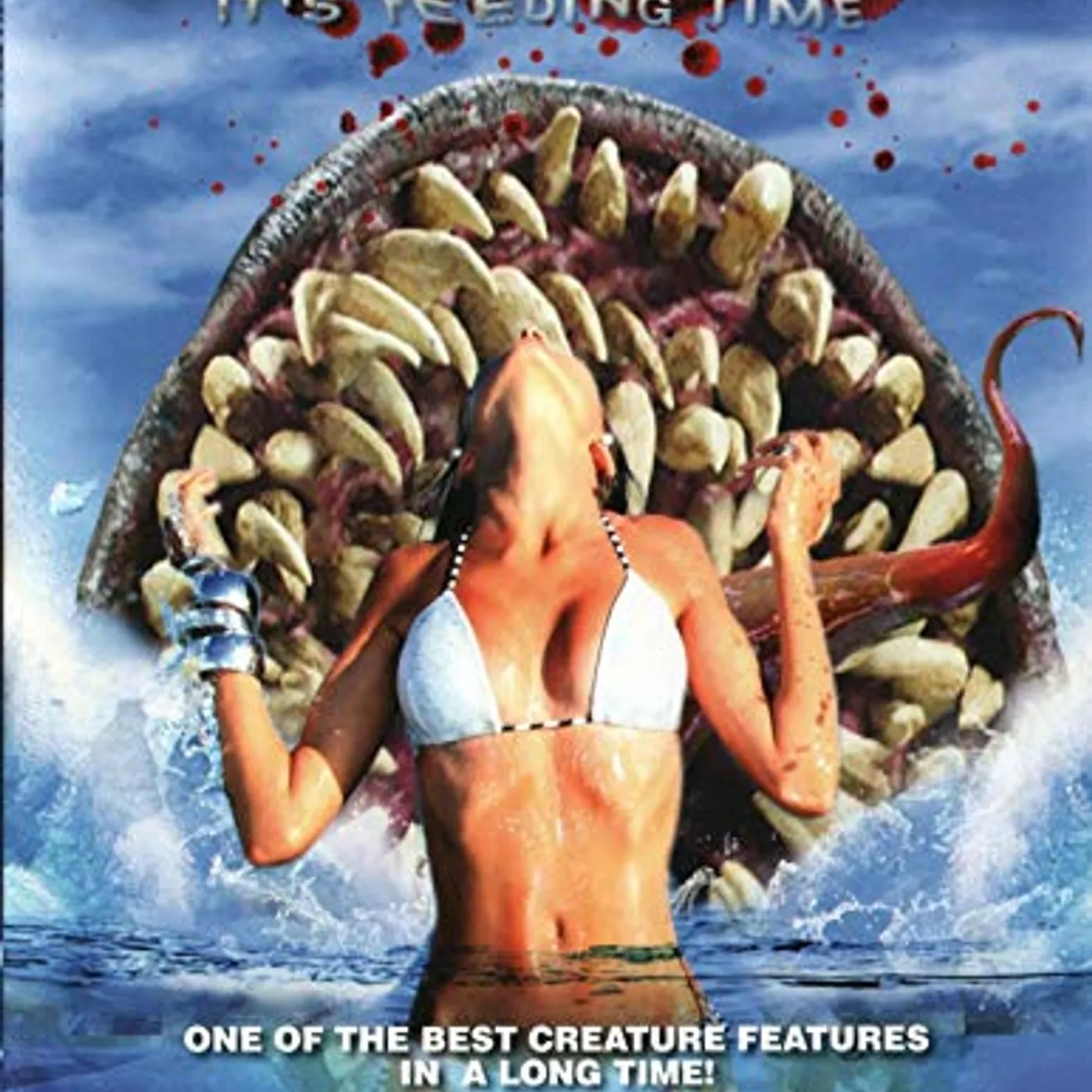 Dead Sea DVD