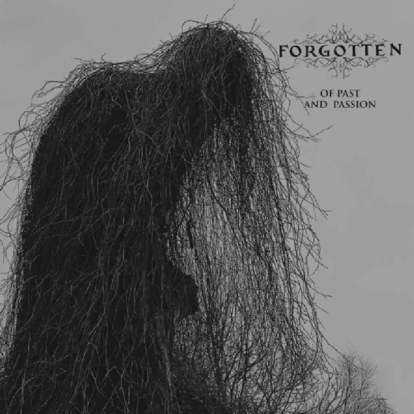 The Forgotten OF PAST AND PASSION CD