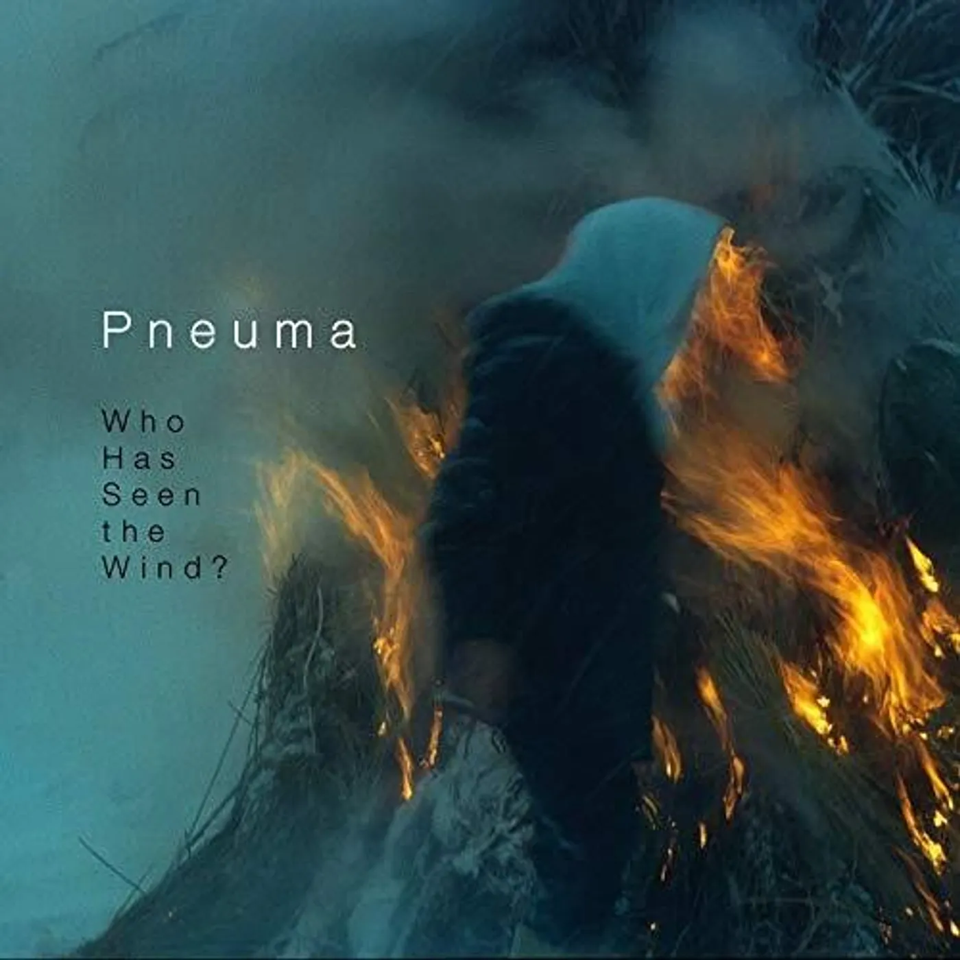 Pneuma WHO HAS SEEN THE WIND CD
