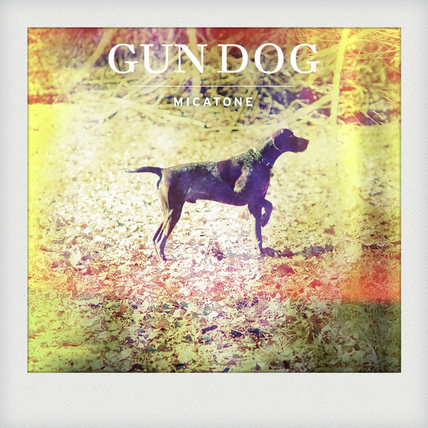 Micatone GUN DOG (ALEX BARCK REMIX) Vinyl Record