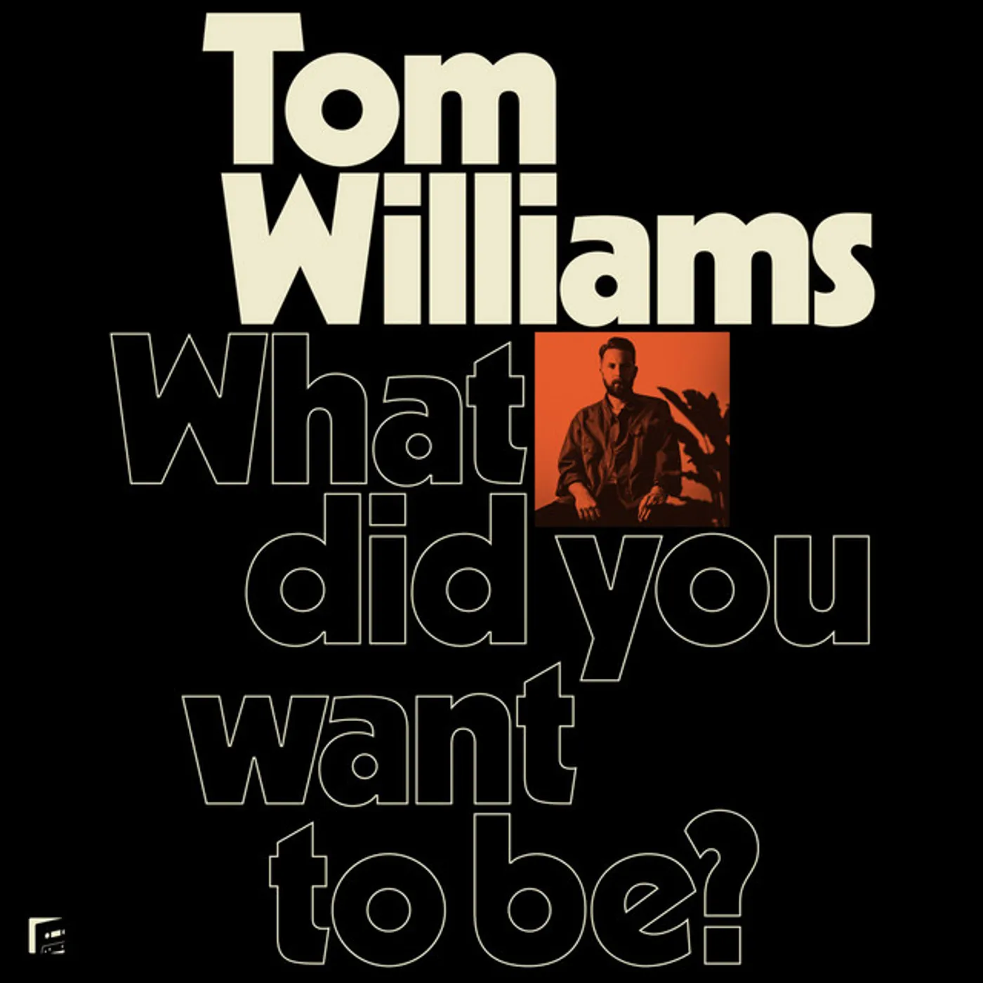 Tom Williams What Did You Want to Be? Vinyl Record