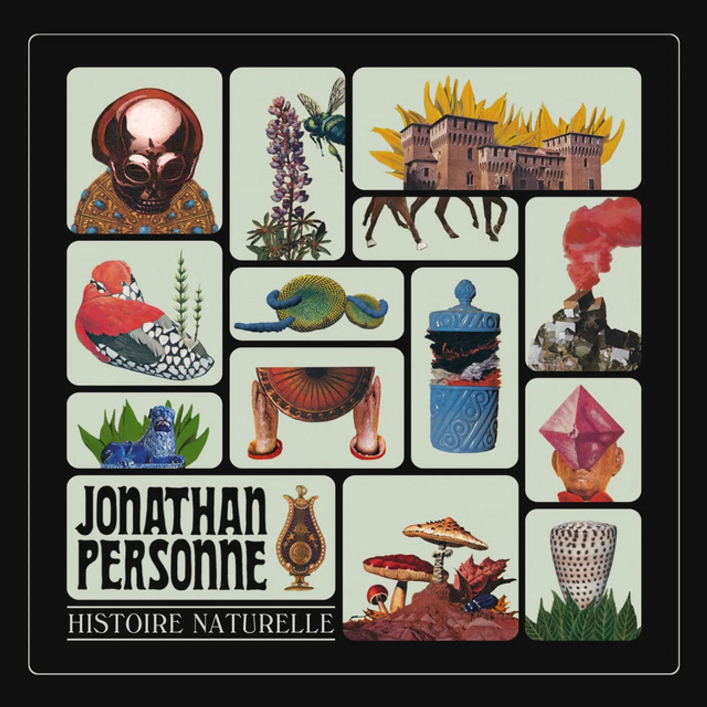 Jonathan Personne Histoire naturelle Vinyl Record