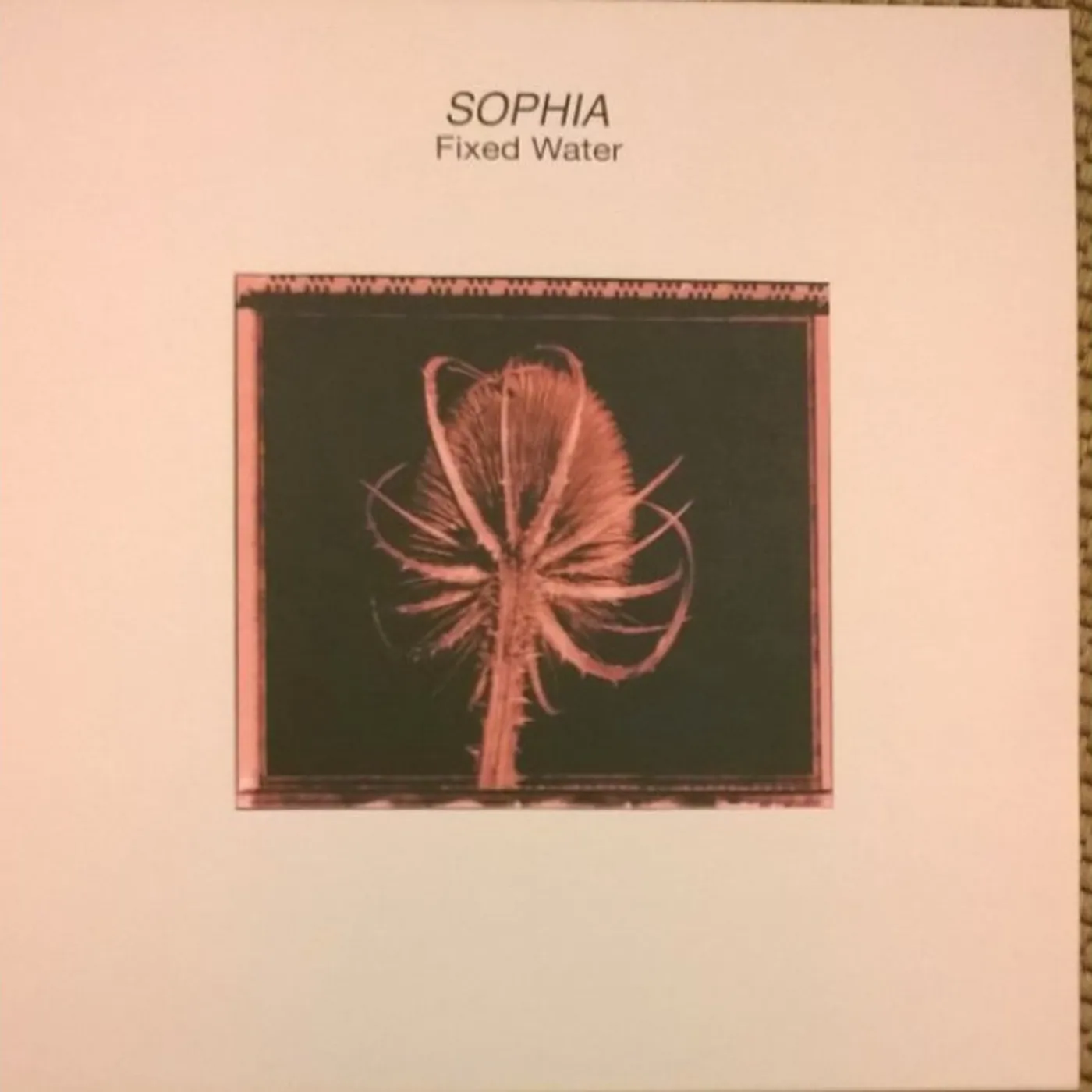 Sophia Fixed Water Vinyl Record