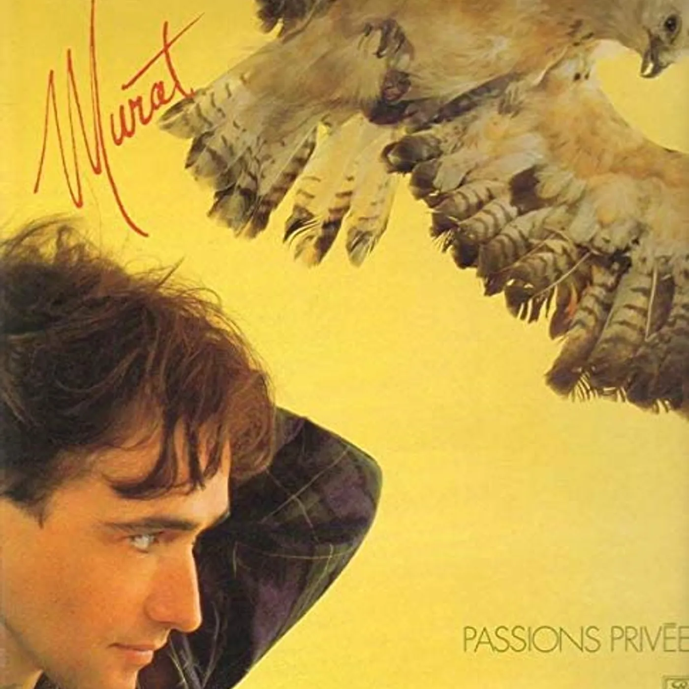Jean-Louis Murat Passions privees Vinyl Record